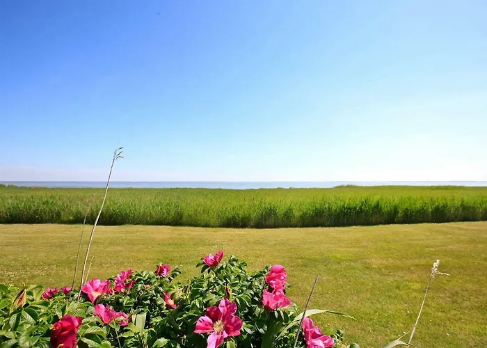 Holiday Lyngvejen Vi